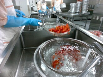 さくらんぼ洗浄の様子