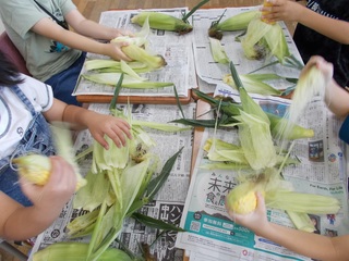 2年生　トウモロコシの皮むき