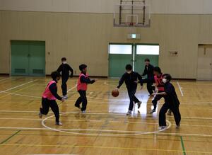 basket1