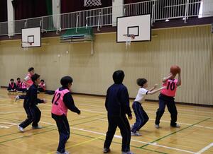 basket2