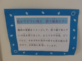 ajisai
