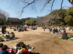 野鳥公園昼食