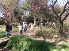 野鳥公園